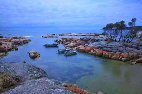 Photo: Bay of Fires Eco Tours